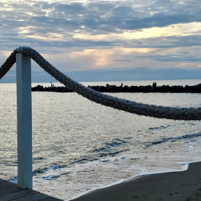 ippocampo Lido Di Ostia